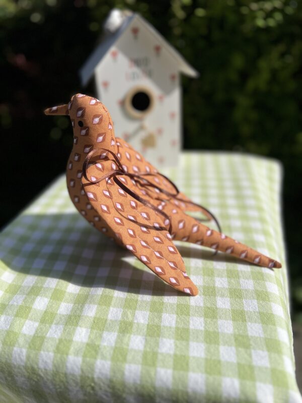 Birdy - Karl - Image 3