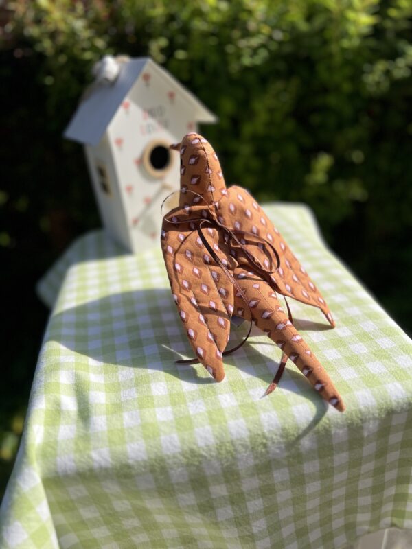 Birdy - Karl - Image 2