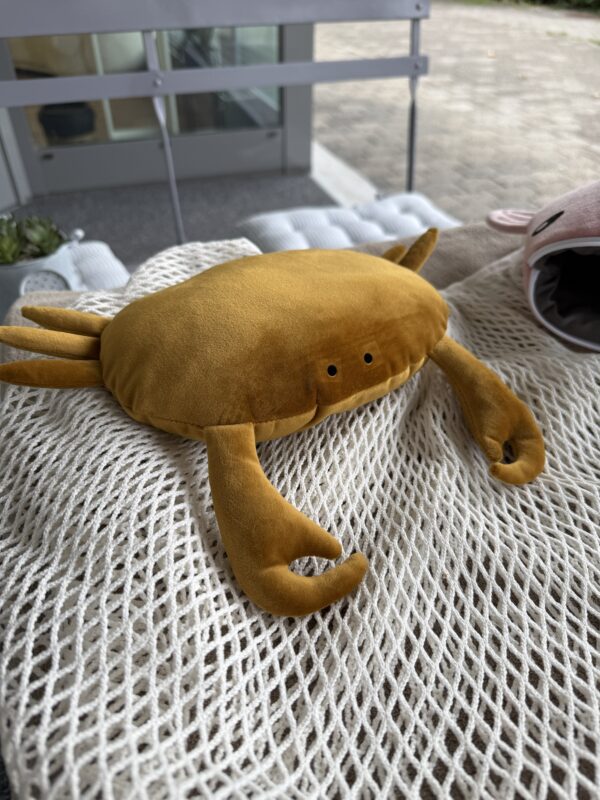 Krebs 🦀 Crabby - Image 3