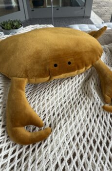 Krebs 🦀 Crabby